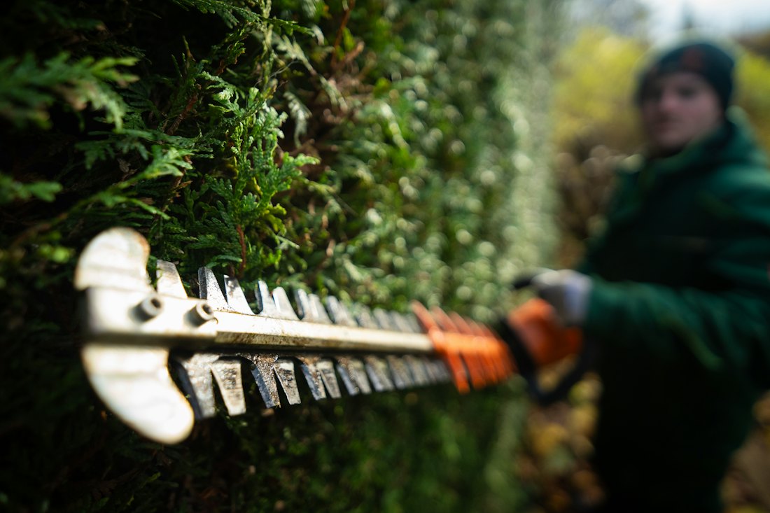 Entretien de jardin